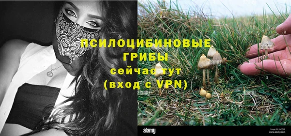 бошки Беломорск