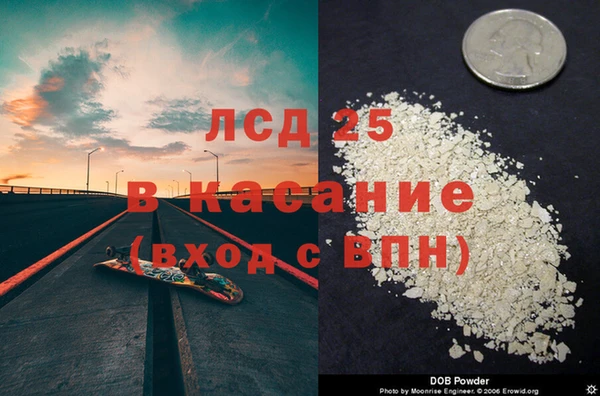 эйфоретик Белокуриха